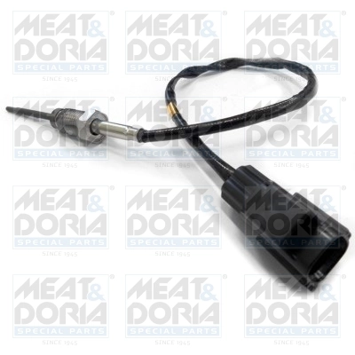Sensor, exhaust gas temperature